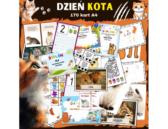 Zestaw DZIEŃ KOTA