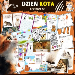 Zestaw DZIEŃ KOTA