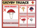 Zestaw JESIENNY