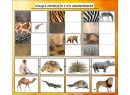 ZWIERZĘTA W ZOO
