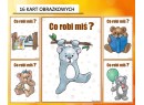 Zestaw DZIEŃ MISIA