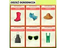 WIOSNA W OGRODZIE