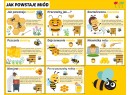 Zestaw DZIEŃ PSZCZÓŁ