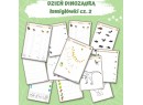 Zestaw DZIEŃ DINOZAURA