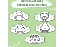 Zestaw DZIEŃ DINOZAURA